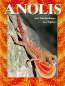 Preview: Anolis